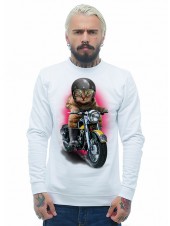 Кот - мотоциклист